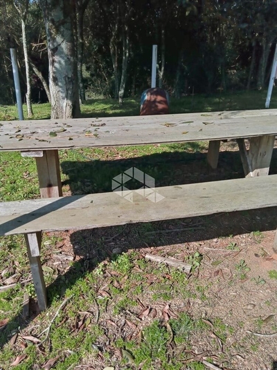 Terreno, 3 hectares - Foto 2