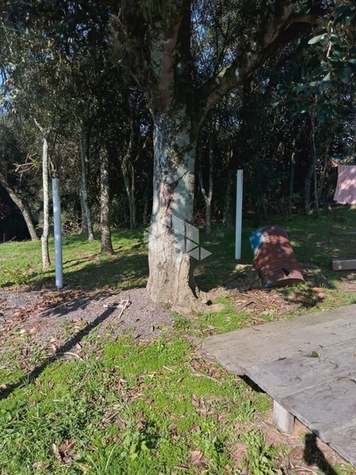 Terreno, 3 hectares - Foto 3