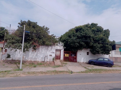 Terreno, 300 m² - Foto 4