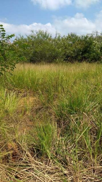 Terreno, 256 m² - Foto 1