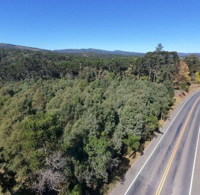 Terreno, 2 hectares - Foto 2