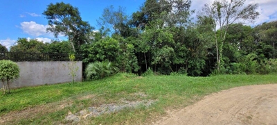 Terreno, 2 hectares - Foto 4