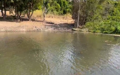 Fazenda-Sítio-Chácara, 10 m² - Foto 2