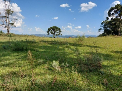 Fazenda-Sítio-Chácara - Foto 4