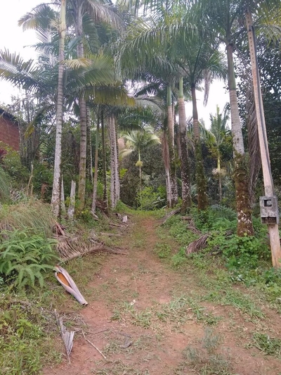 Sítio, 2 quartos, 10 m² - Foto 5