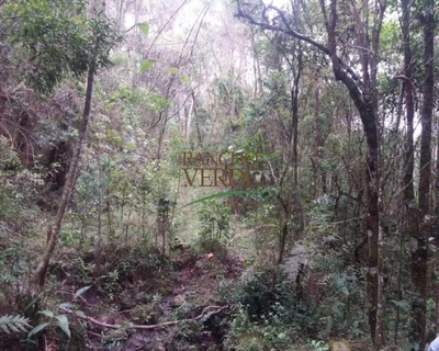 Fazenda-Sítio-Chácara, 223 hectares - Foto 4