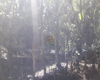 Chácara, 4 quartos - Foto 2