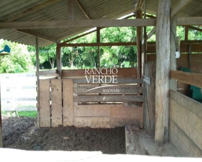 Sítio, 4 hectares - Foto 4