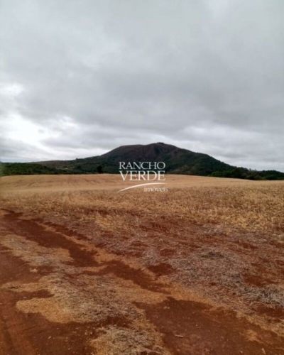 Fazenda-Sítio-Chácara - Foto 5