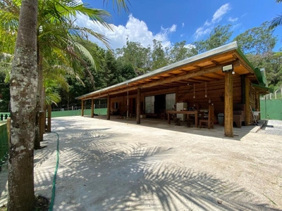 Sítio, 22 hectares - Foto 5