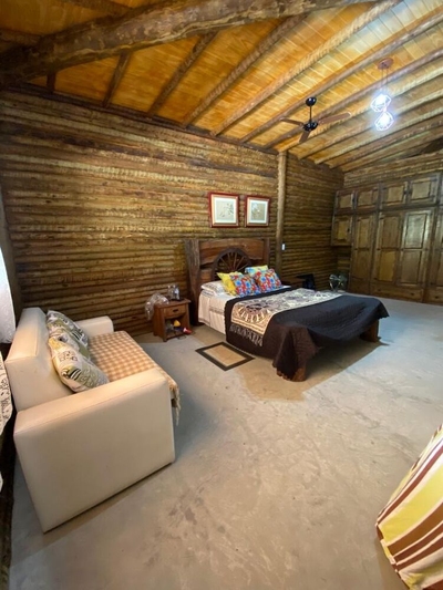 Sítio, 22 hectares - Foto 4