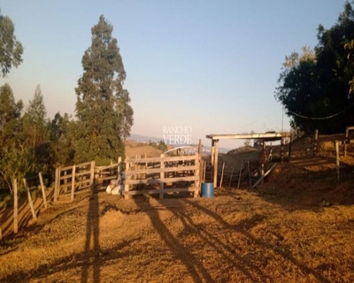 Fazenda-Sítio-Chácara, 1000 m² - Foto 5