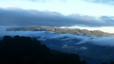 Chácara, 2 quartos, 9600 m² - Foto 3