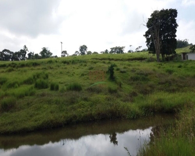 Sítio, 4 quartos, 24 hectares - Foto 3