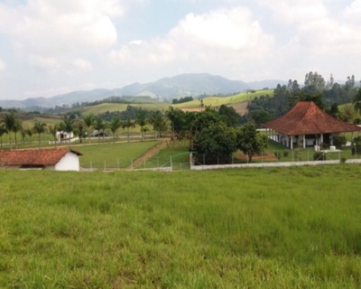 Sítio, 4 quartos, 24 hectares - Foto 1