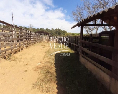 Fazenda-Sítio-Chácara, 339 hectares - Foto 4