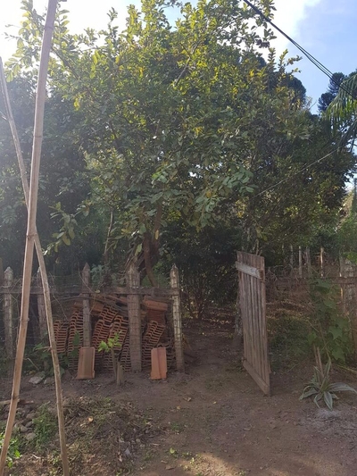 Chácara, 3 quartos, 1500 m² - Foto 4