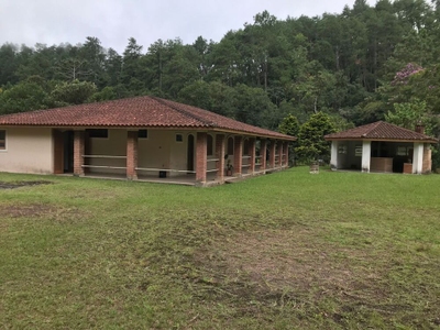 Chácara, 2 hectares - Foto 5