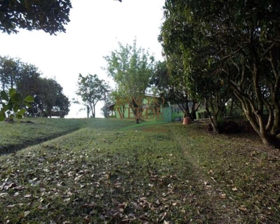 Chácara, 2 quartos, 7000 m² - Foto 3