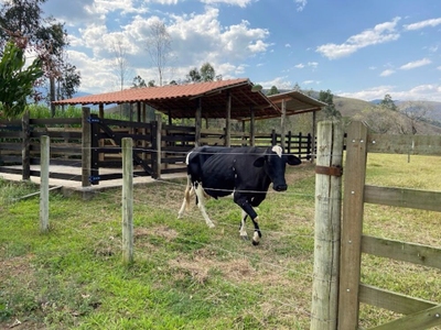 Chácara, 2 quartos, 2 hectares - Foto 2