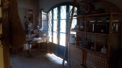 Sítio, 3 hectares - Foto 2