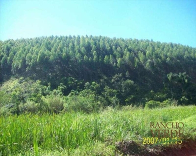 Fazenda-Sítio-Chácara, 209 hectares - Foto 3