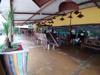 Sítio, 1 quarto, 3 hectares - Foto 1