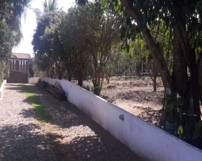 Fazenda-Sítio-Chácara, 5000 m² - Foto 3