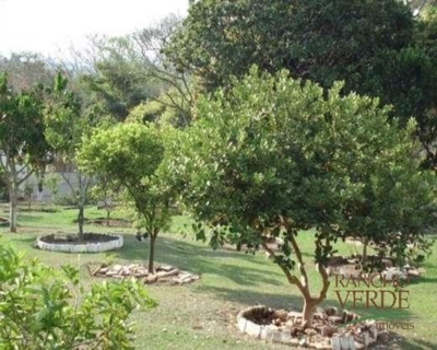 Chácara, 3 quartos, 6000 m² - Foto 5