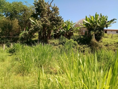 Fazenda, 1000 m² - Foto 4