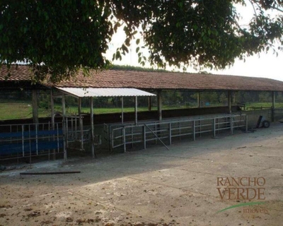 Fazenda-Sítio-Chácara, 128 hectares - Foto 3