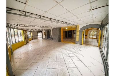 Casa, 5 quartos, 405 m² - Foto 4