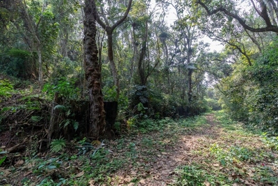 Terreno, 2913 m² - Foto 3