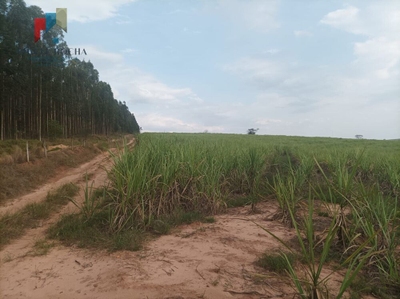 Fazenda-Sítio-Chácara, 235 hectares - Foto 2