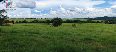 Fazenda-Sítio-Chácara, 162 hectares - Foto 2