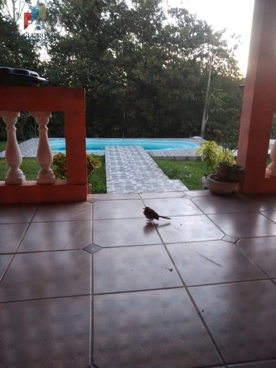 Chácara, 3 quartos, 2 hectares - Foto 1