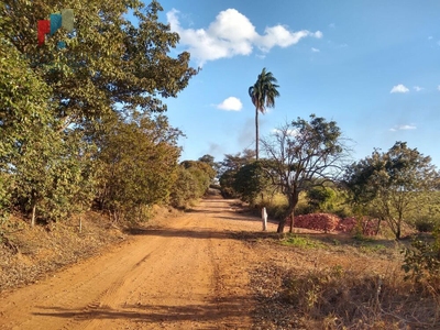 Fazenda-Sítio-Chácara, 44 hectares - Foto 4