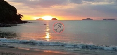 Prédio Inteiro, 1206 m² - Foto 3