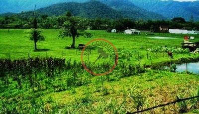 Fazenda-Sítio-Chácara, 450 m² - Foto 1