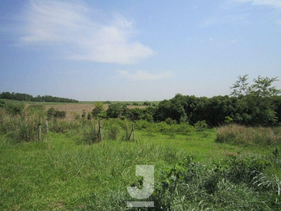 Chácara, 3 quartos, 5 hectares - Foto 4