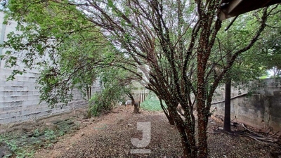 Casa, 4 quartos, 400 m² - Foto 4