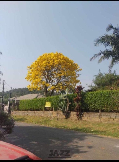 Chácara, 6 quartos - Foto 4