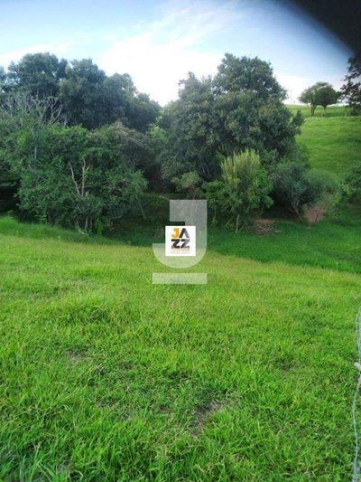 Sítio, 2 hectares - Foto 4