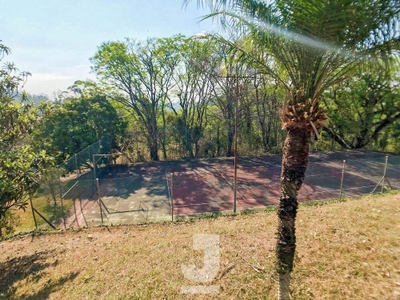 Chácara, 4 quartos, 4 hectares - Foto 3