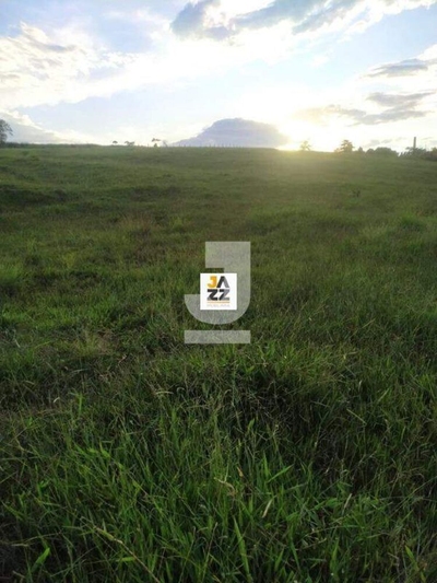 Sítio, 2 hectares - Foto 4