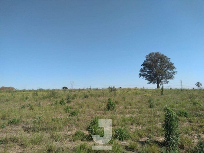 Terreno, 2 hectares - Foto 3