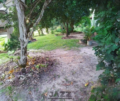 Chácara, 3 quartos, 2 hectares - Foto 4