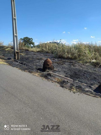 Terreno, 250 m² - Foto 1