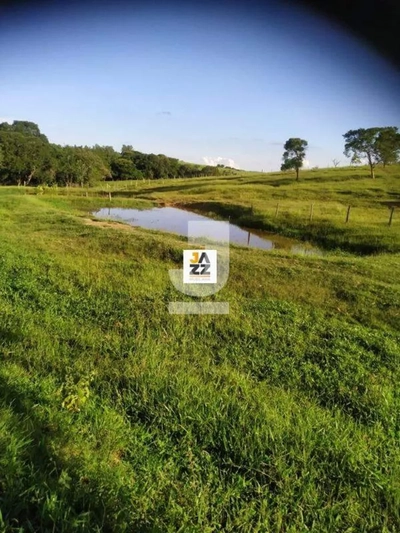 Sítio, 2 hectares - Foto 3