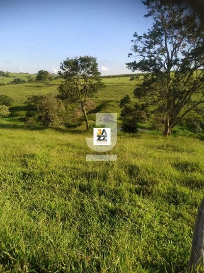 Sítio, 2 hectares - Foto 4